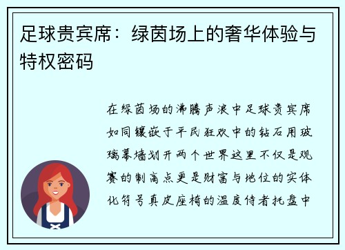 足球贵宾席：绿茵场上的奢华体验与特权密码
